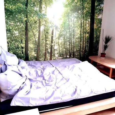 Appartement Zentral Und Doch