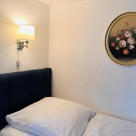 Ξενοδοχείο Altstadthotel Hayk Am Rhein 3*