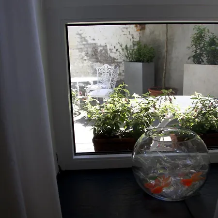 Apartman Miro Köln