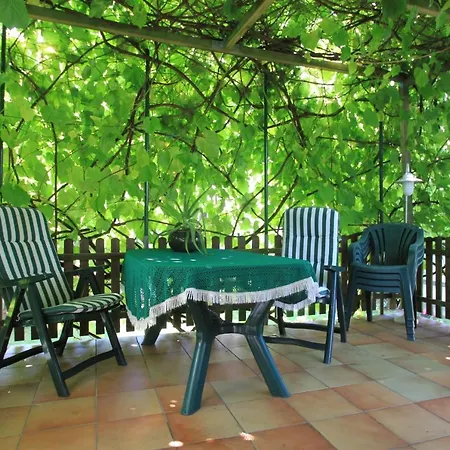 Am - Homestay Cologne