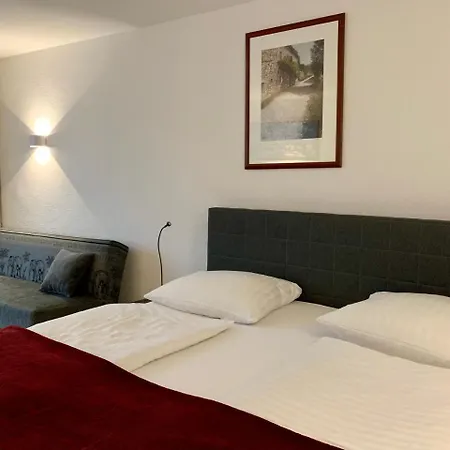 Altstadthotel Hayk Am Rhein Ξενοδοχείο 3*