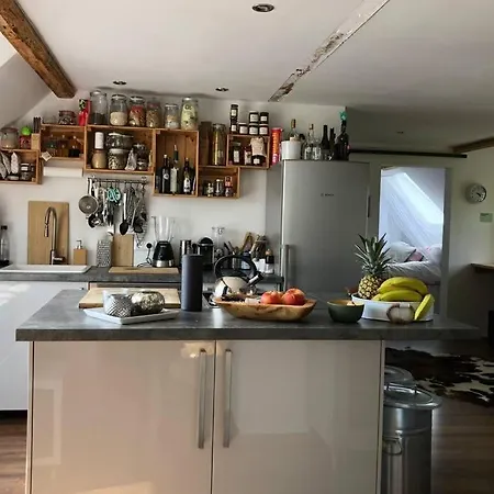 Idyllische Ferienwohnung Mit Rheinblick Apartment Köln