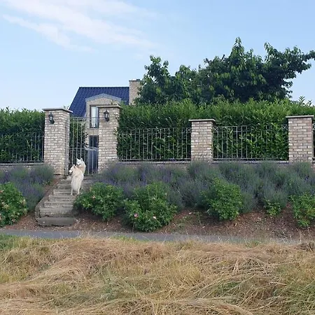 Schoenste Lage Am Rhein In Unmittelbarer Stadtnaehe, 科隆