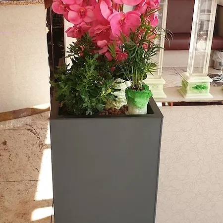 Fortune Hotel 3*
