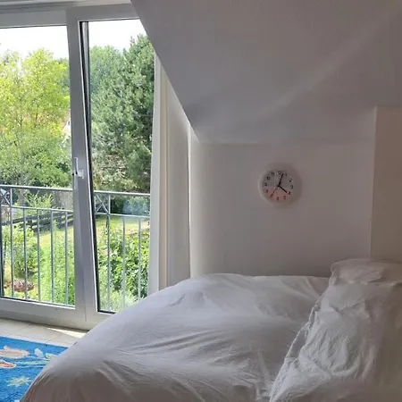 Schoenste Lage Am Rhein In Unmittelbarer Stadtnaehe, * 科隆