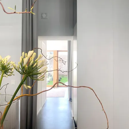 Zehuus Gartenstudio Mit Terrasse Apartamento Colónia