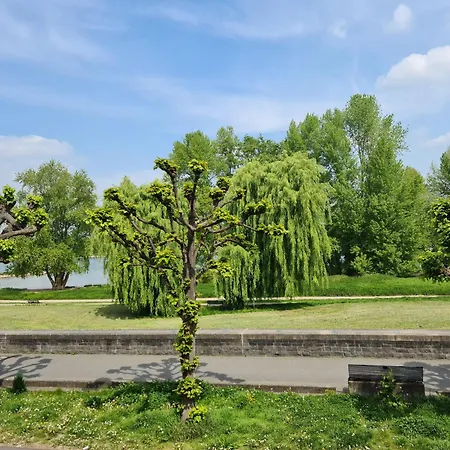 Rheinblick 4*