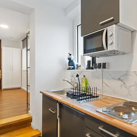 Apartment Modernes Am Rhein In Ruhiger Lage