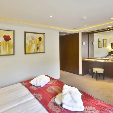 Faircruise Business Hotelship Кёльн