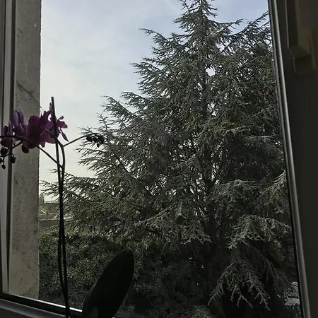 Rohan's Apartment Cologne