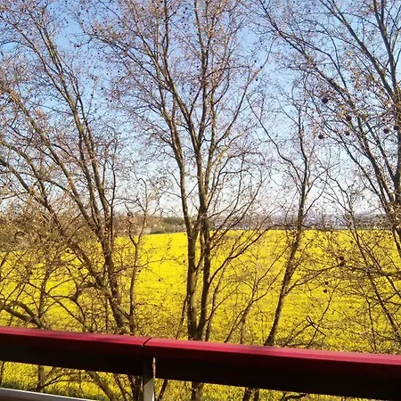 Appartement Mewo - In Der Messestadt *