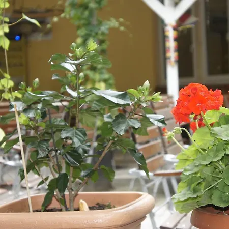 מלון דירות Aida Apartament קלן