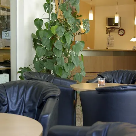 Hotel Airport Business 3*