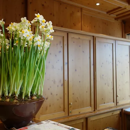 Kaiser Am Wiener Platz Hotell