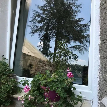 Rohan's Apartment *