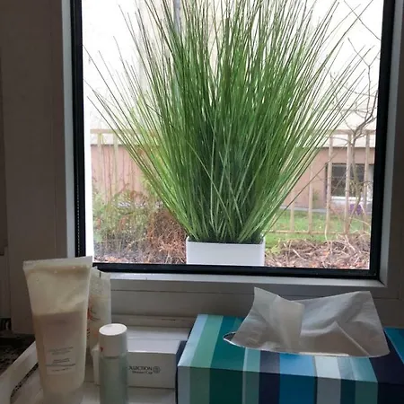 Wohnen Im Grunen - Rheinnahe Und Stadtnah Apartament Kolonia