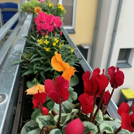Koeln Ensen Appartamento *