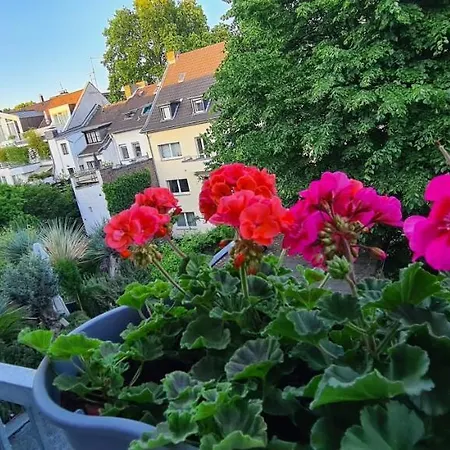 Hotel Cara Kolín nad Rýnem