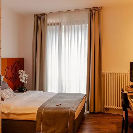 Hotel Begardenhof