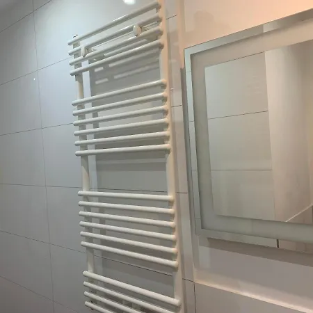 Apartment Am Rheingarten