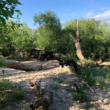 Idyllische Ferienwohnung Mit Rheinblick *
