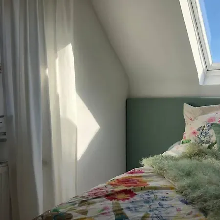 Idyllische Ferienwohnung Mit Rheinblick
