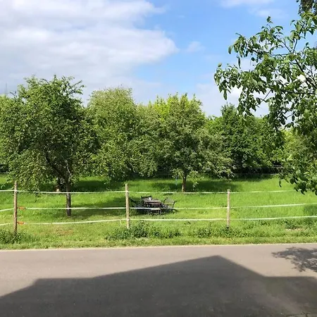 Idyllische Ferienwohnung Mit Rheinblick Apartment *