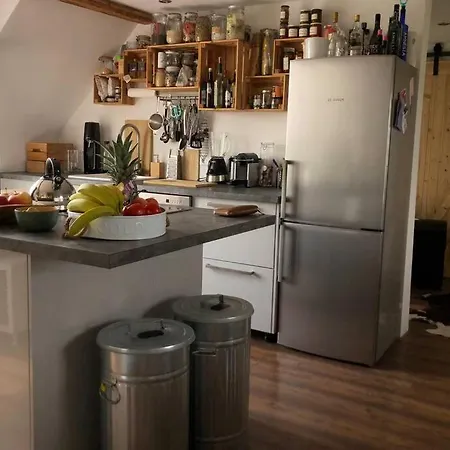 Idyllische Ferienwohnung Mit Rheinblick Apartment