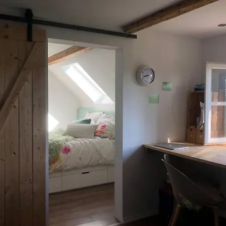 Idyllische Ferienwohnung Mit Rheinblick Apartment *