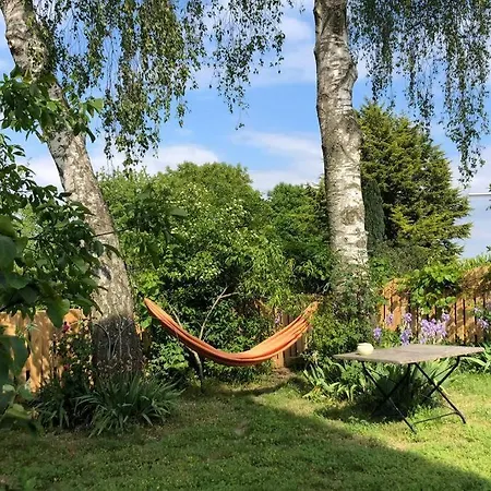 Idyllische Ferienwohnung Mit Rheinblick Apartment *
