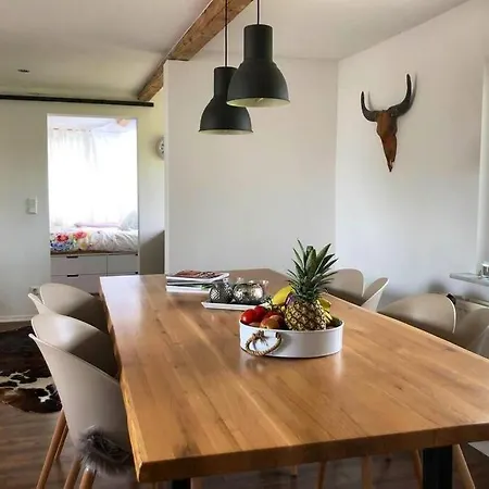 Idyllische Ferienwohnung Mit Rheinblick Apartment