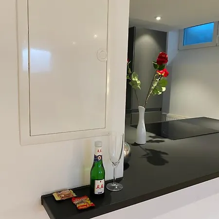 Apartment Dreamy Luxury Basement In