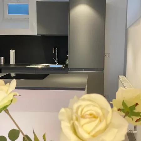 Dreamy Luxury Basement In *