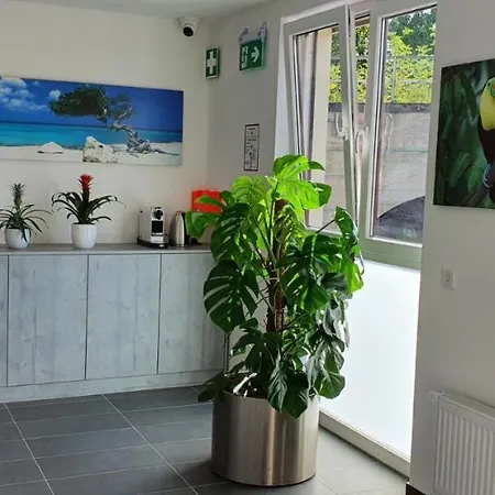 Guest house New City Rooms