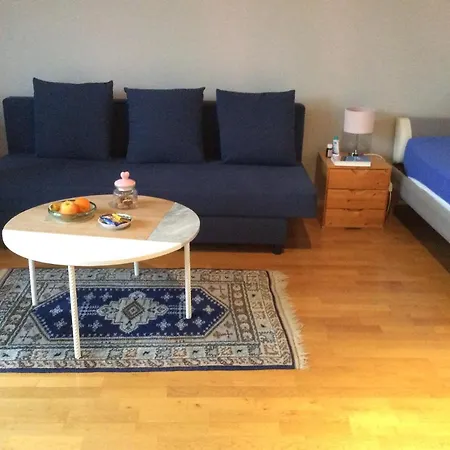 Dachstudio Mit Bad Und Terasse Homestay