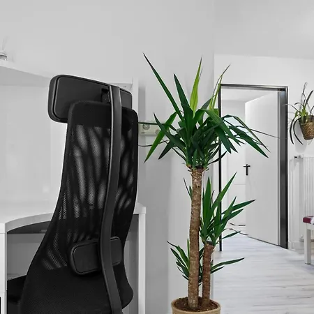 Gemuetliches In - Smarttv - Kueche Apartment