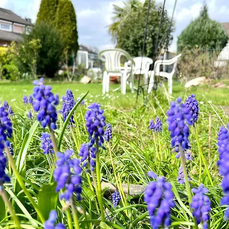 Comfy Mit Garten In Colonia