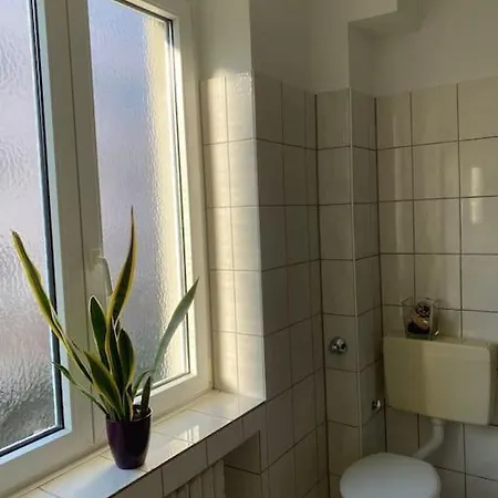 Central And Cozy 33q Colonia