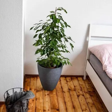 Apartment Schoene Dachgeschosswohnung Nahe *
