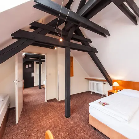 Ahl Meerkatzen 3* Cologne