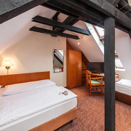 Hotel Ahl Meerkatzen 3*
