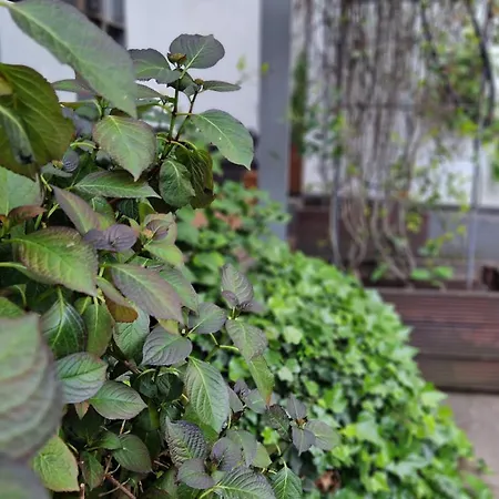 Ξενοδοχείο Hostel Koeln