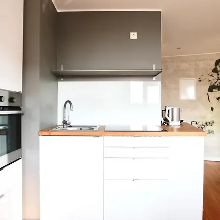 Grosse Dachgeschosswohnung Mit Balkon Im Belgischen Viertel
