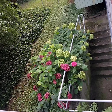 Top 200 Meter Zum Rheinauhafen Homestay