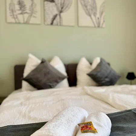 Gemuetlich Und Zentral, 3km Zum Flughafen Koeln-bonn Apartment Cologne