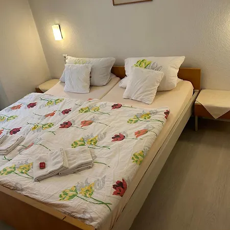 Haus Schwan Ξενοδοχείο 3*