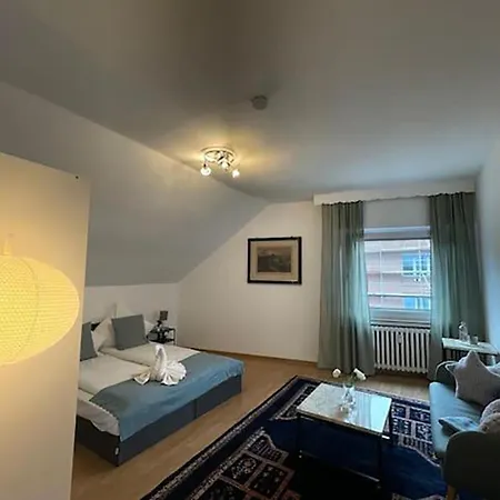 Bright And Stylish Steps Away From The Rhine Apartment