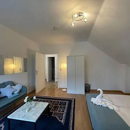 Apartment Bright And Stylish Steps Away From The Rhine *