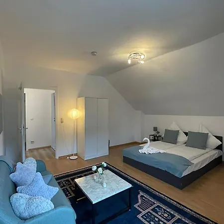 Apartment Bright And Stylish Steps Away From The Rhine