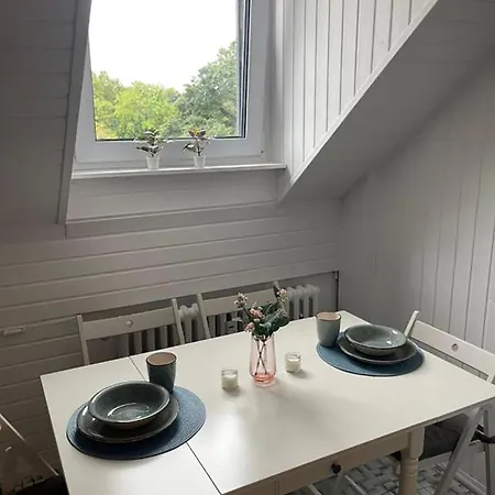 Bright And Stylish Steps Away From The Rhine Apartment